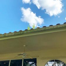 Gutter Cleaning and Brightening in Weston, FL 0