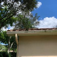 Gutter Cleaning and Brightening in Weston, FL 1