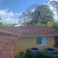 Tile Roof Cleaning in Plantation, FL 6